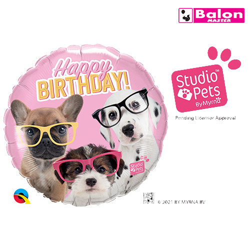 Birthday puppies with eyeglasses 18in