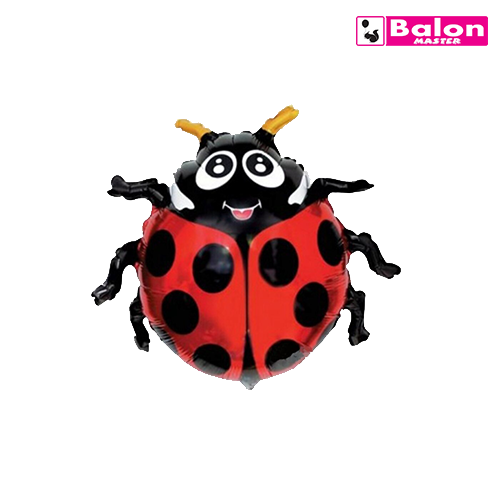 Oblik ladybug