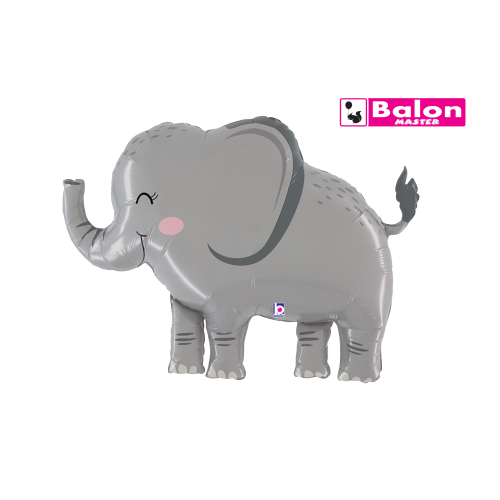 Oblik Slon B